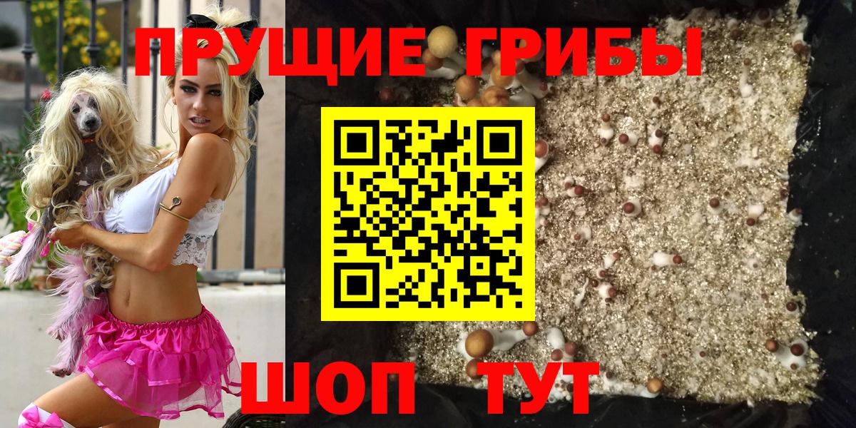 Фролово  Галлюциногенные грибы Psilocybine cubensis  Вход с VPN  Псилоцибиновые грибы Psilocybine cubensis 